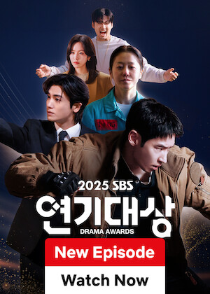 2025 SBS Drama Awards poster